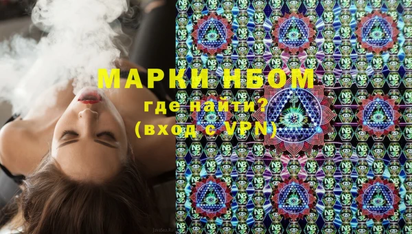 apvp Ельня