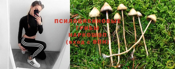 соль курить ск Елабуга