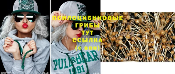 apvp Ельня
