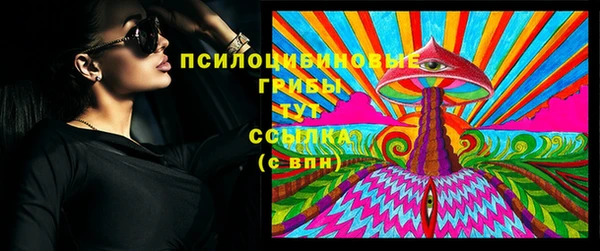 apvp Ельня