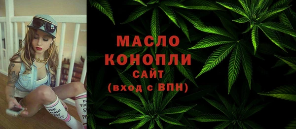 apvp Ельня