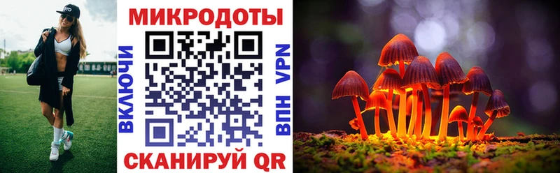 Галлюциногенные грибы MAGIC MUSHROOMS  сколько стоит  ссылка на мегу маркетплейс  Хвалынск 